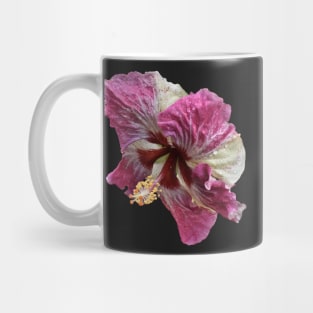 Portrait of a Hibiscus Mug